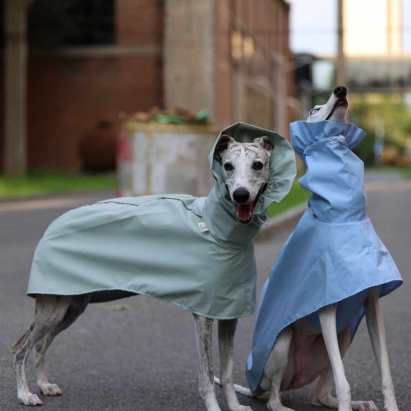 Dog Raincoat - Solid Color Raincoat for Italian Greyhound