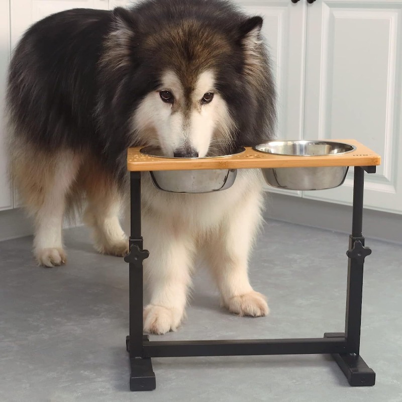 Pet Supplies Pet Shop - Wooden Raised Dog Bowl Adjustable Pet
