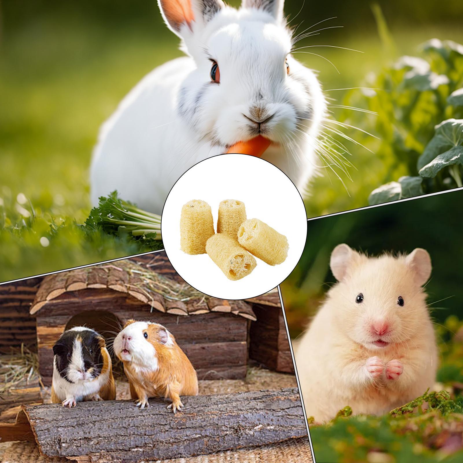 Pet Supplies Pet Shop - Chew Toys For Bunnies 4 Pieces