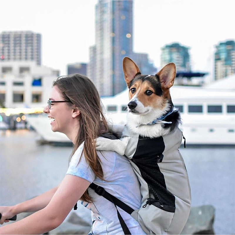 Pet Stroller Carrier - Strong Nylon Dog Carrier Backpack for
