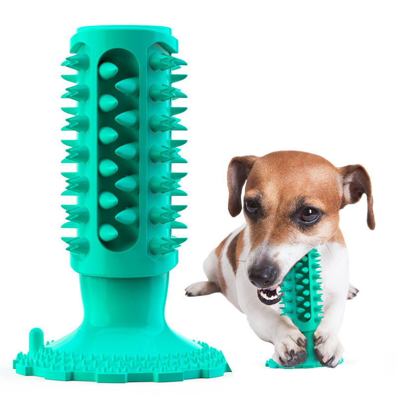 Dog toy with suction cup, soun - Pet Supplies In Amazon review and price