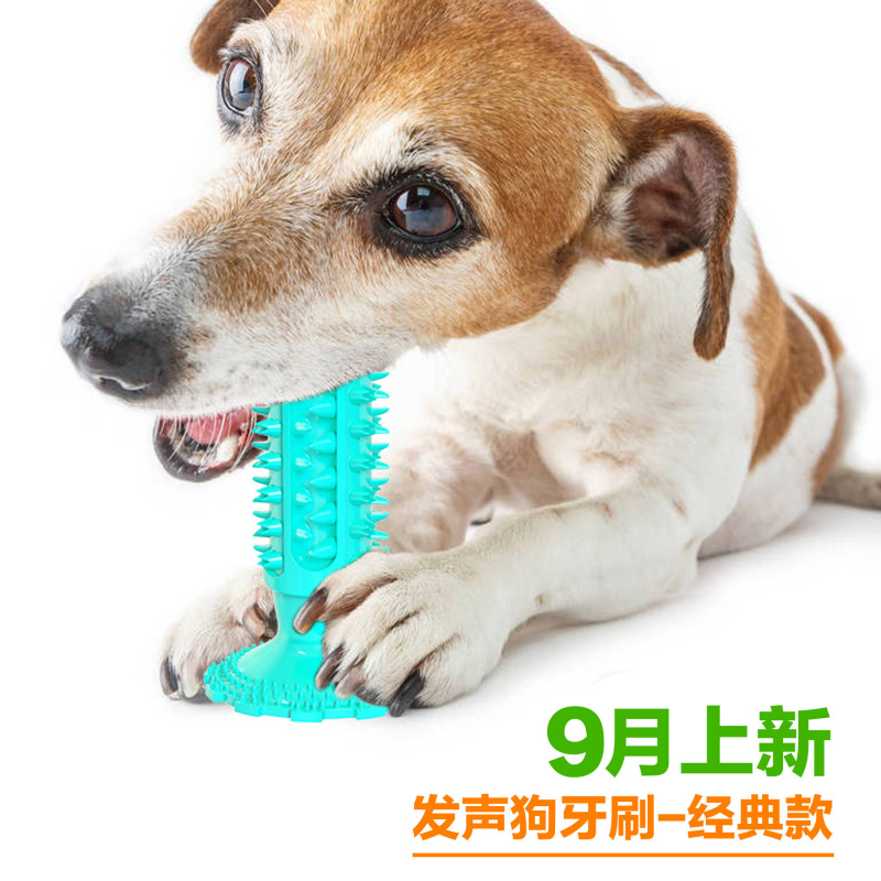 Dog toy with suction cup, soun - Pet Supplies In Amazon review and price