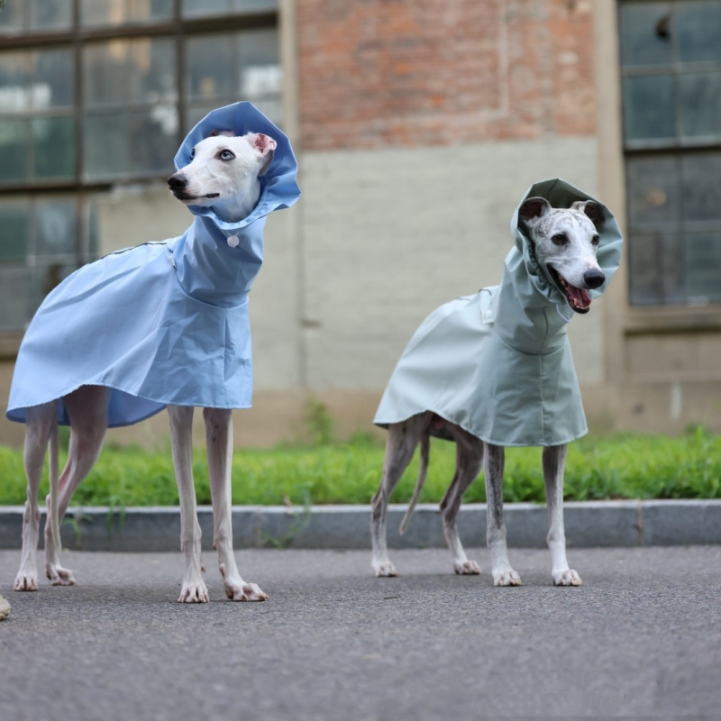 Solid Color Raincoat for Itali - Dog Raincoat review and price