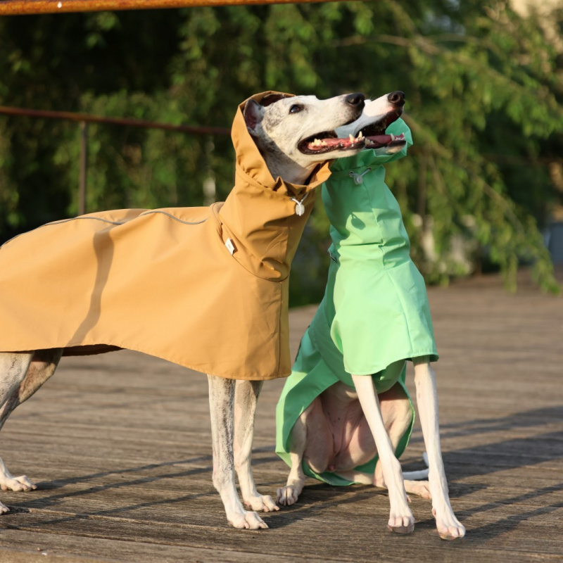 Solid Color Raincoat for Itali - Dog Raincoat review and price