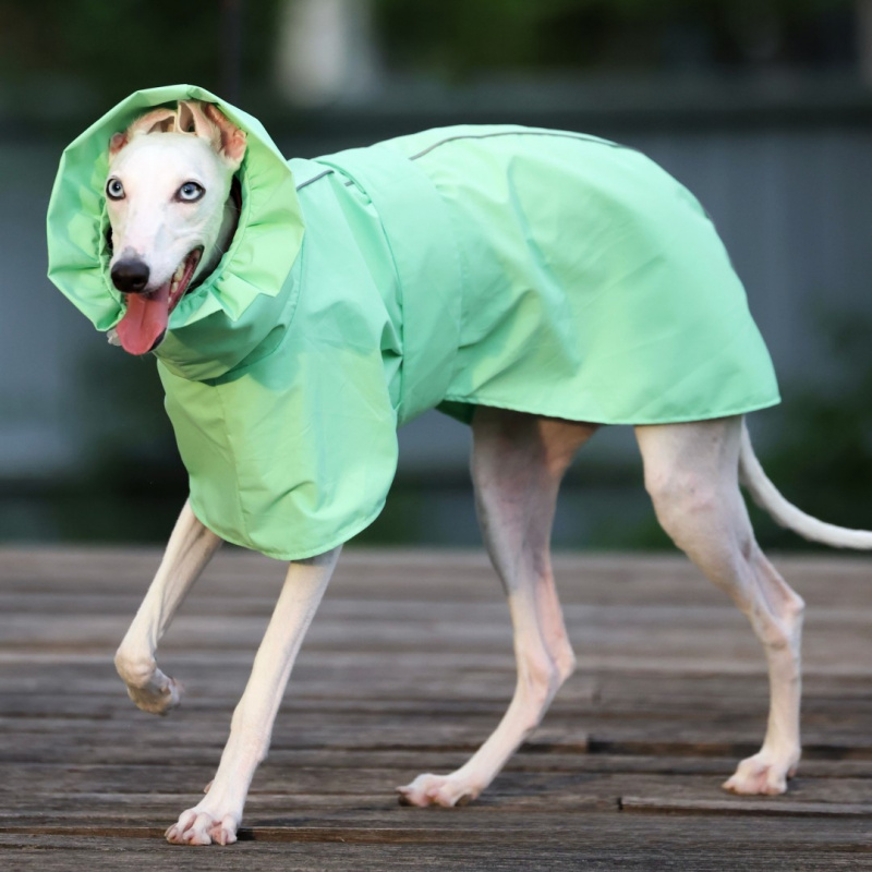 Solid Color Raincoat for Itali - Dog Raincoat review and price