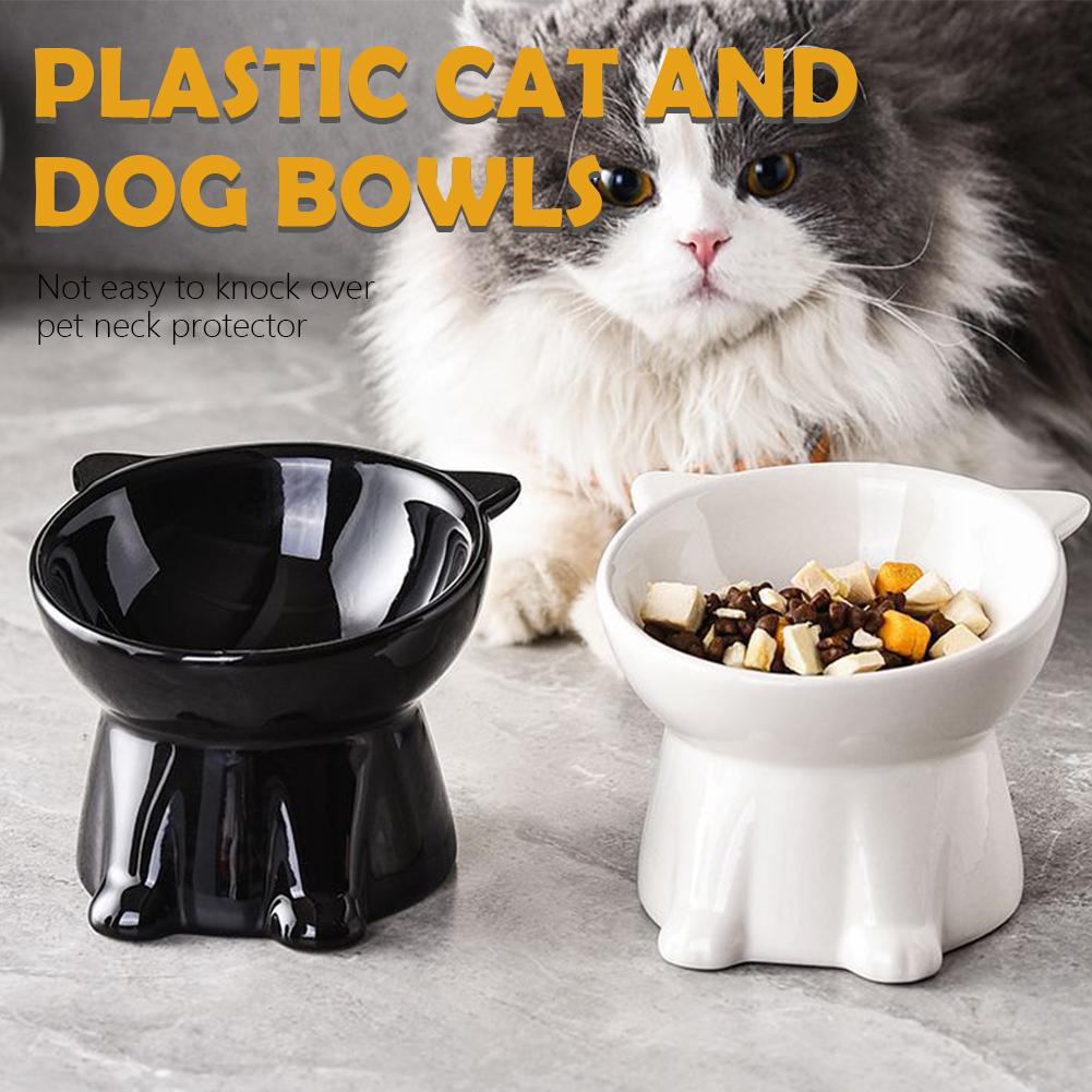 Black Cat Bowl Amazon Plastic  - Pet Supplies In Amazon review and price