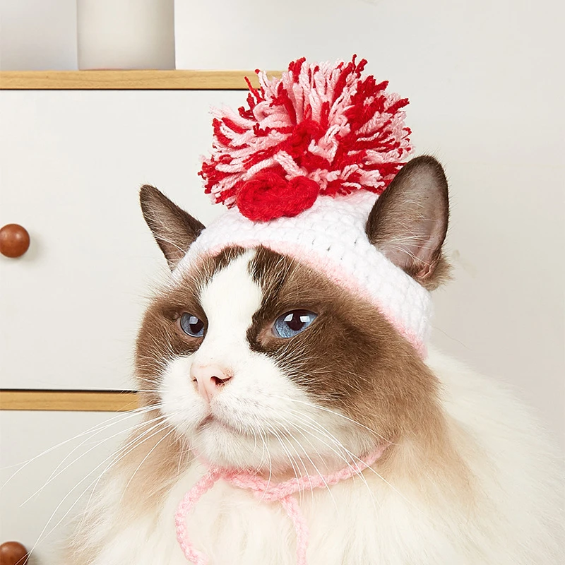 Factory direct sales pet knitt - Pet Supplies In Amazon review and price