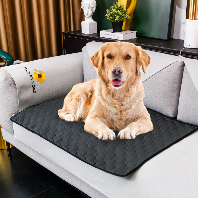 Dog Urine Mat Washable Reusabl - Pet Supplies Dog Wash review and price