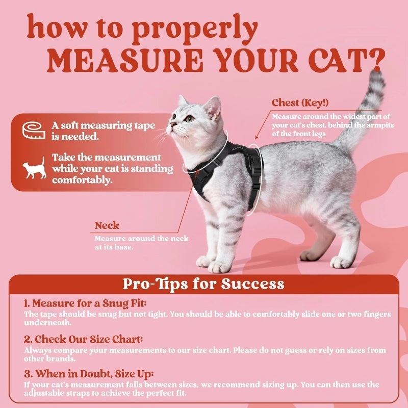 Amazon pet chest strap cat ref - Pet Supplies In Amazon review and price