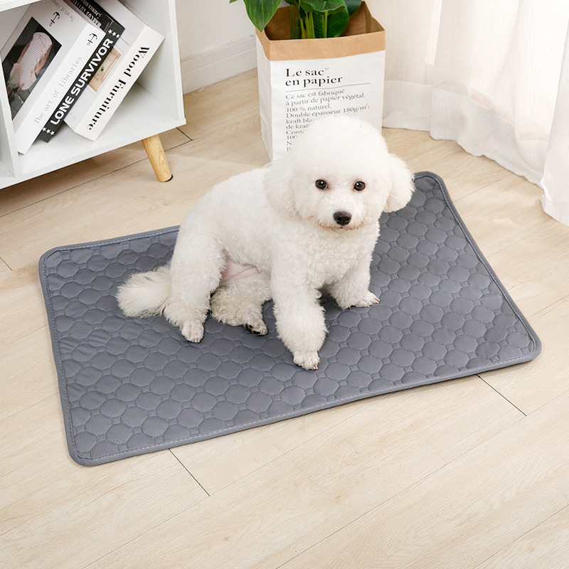 Reusable Dog Pee Pad Blanket A - Pet Supplies Dog Wash review and price