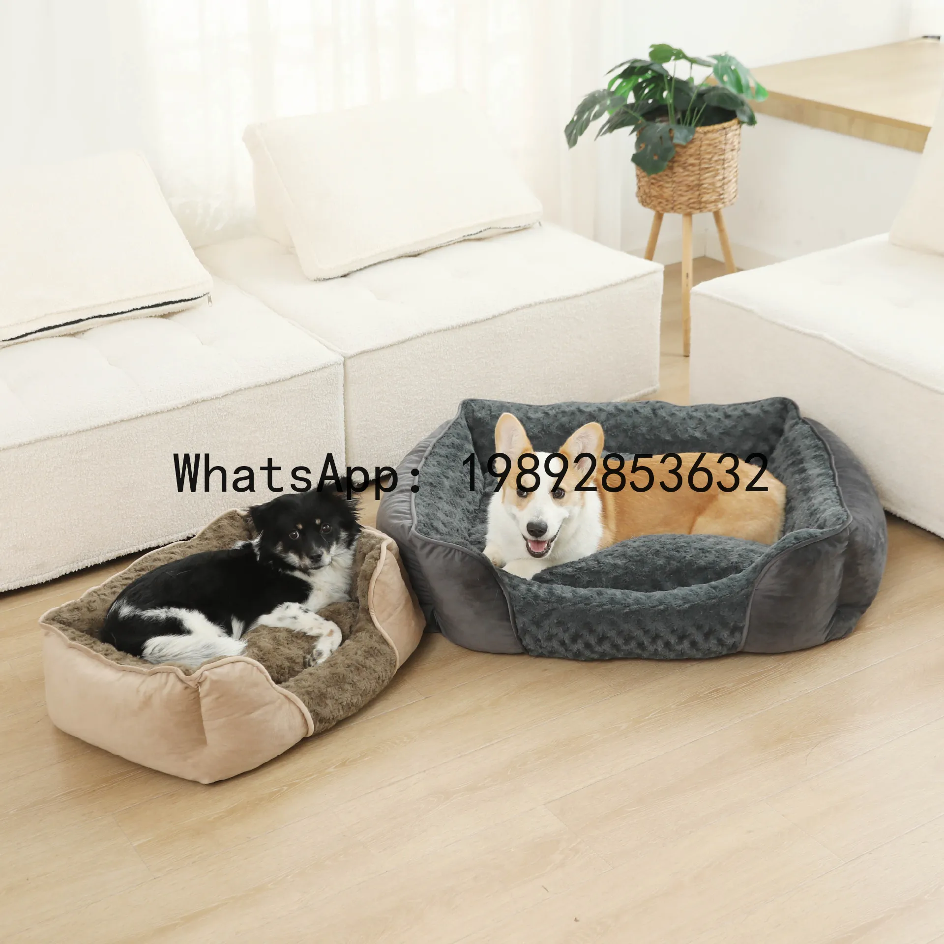 X cat house semi-enclosed dog  - Pet X Supplies & Tack Reviews review and price