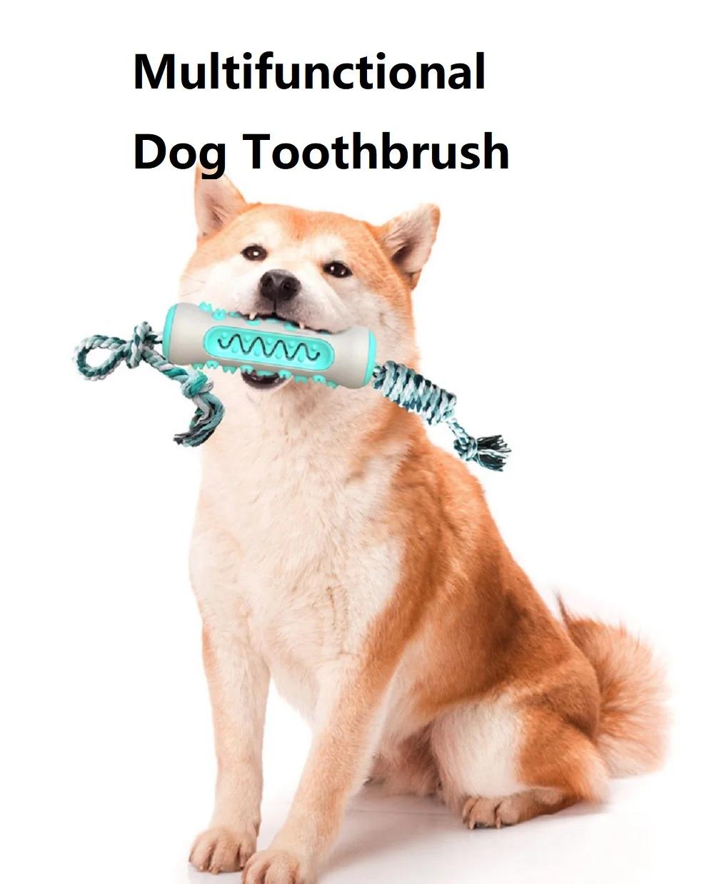 Pet Supplies Amazon Pop Dog To - Pet Supplies In Amazon review and price