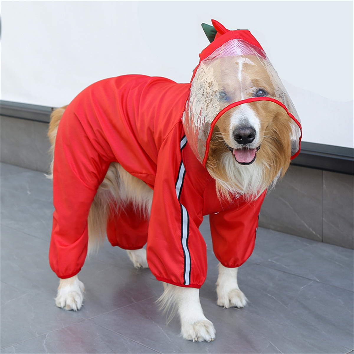 Dog Raincoat Waterproof Dogfac - Dog Raincoat review and price