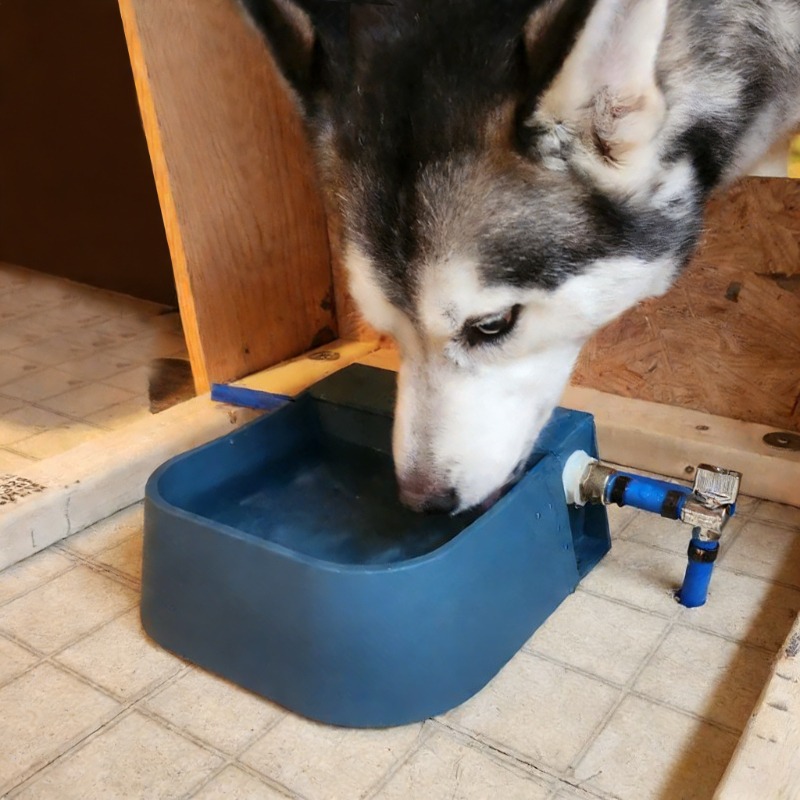 Pet Automatic Water Dispenser  - Pet Supplies Unlimited review and price