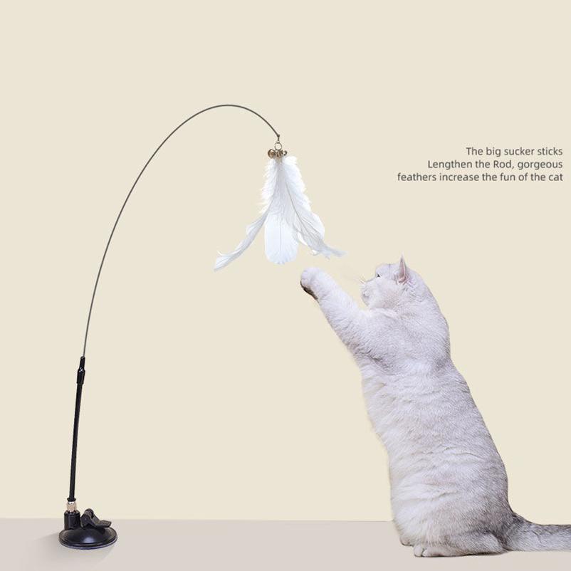 New powerful suction cat-teasi - Pet Supplies In Amazon review and price