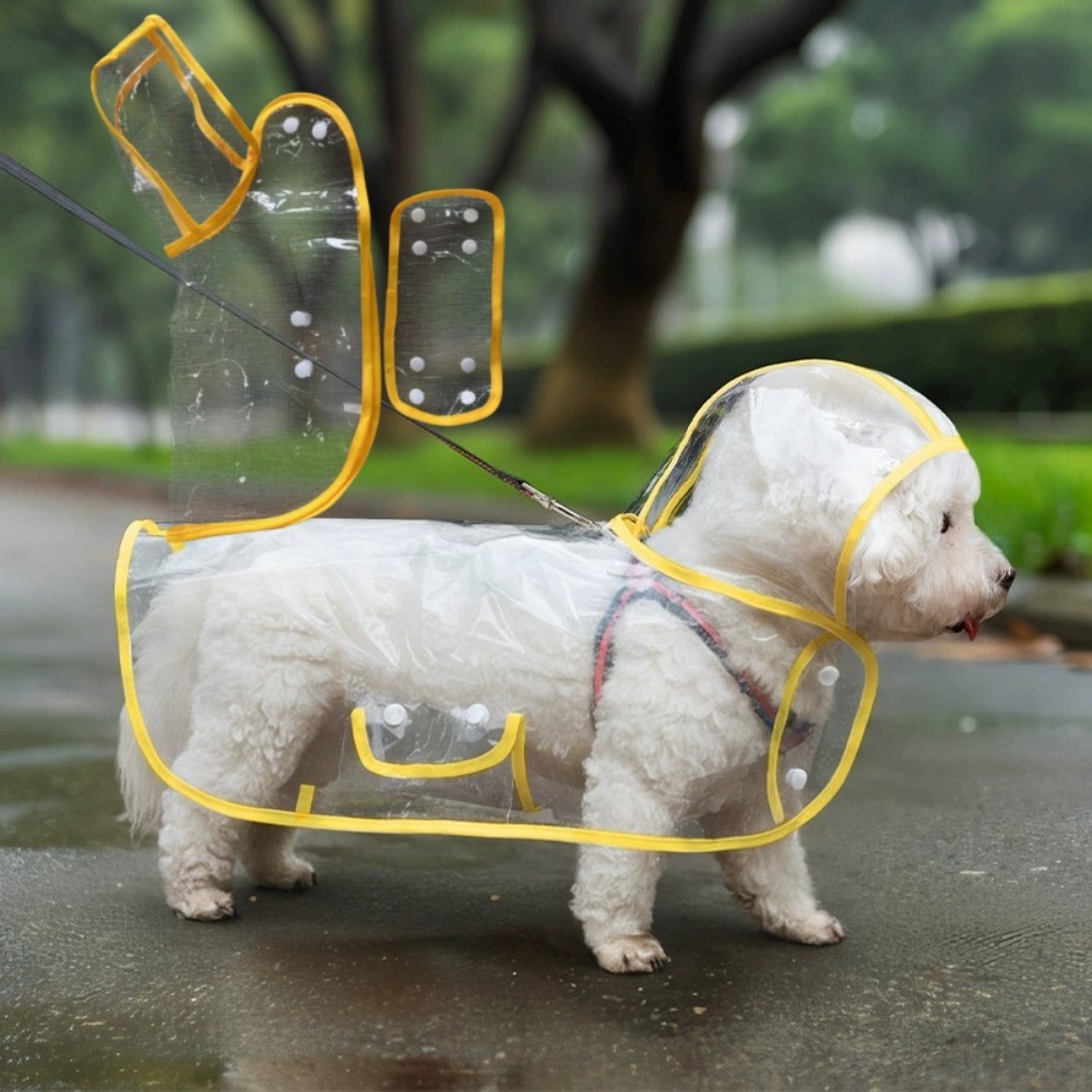 Dog Raincoat Transparent Whole - Dog Raincoat review and price