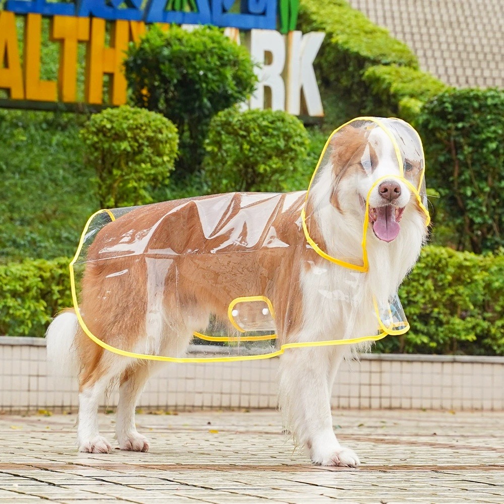 Dog Raincoat Transparent Whole - Dog Raincoat review and price