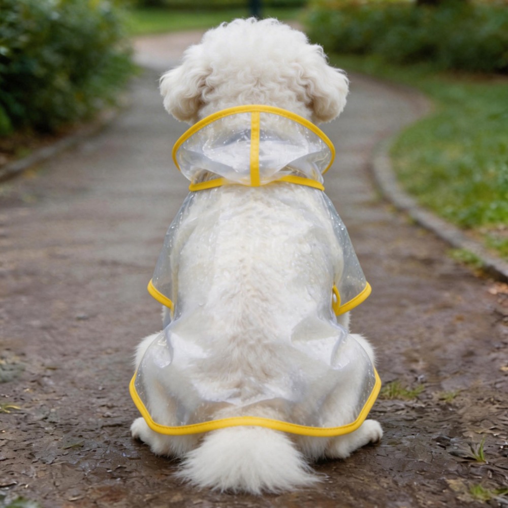 Dog Raincoat Transparent Whole - Dog Raincoat review and price