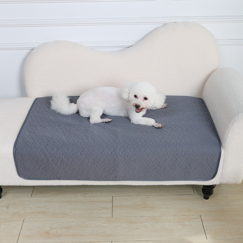 Dog Pee Pad Reusable Blanket A - Pet Supplies Dog Wash review and price
