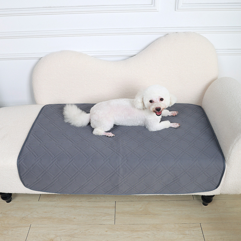 Dog Pee Pad Reusable Blanket A - Pet Supplies Dog Wash review and price