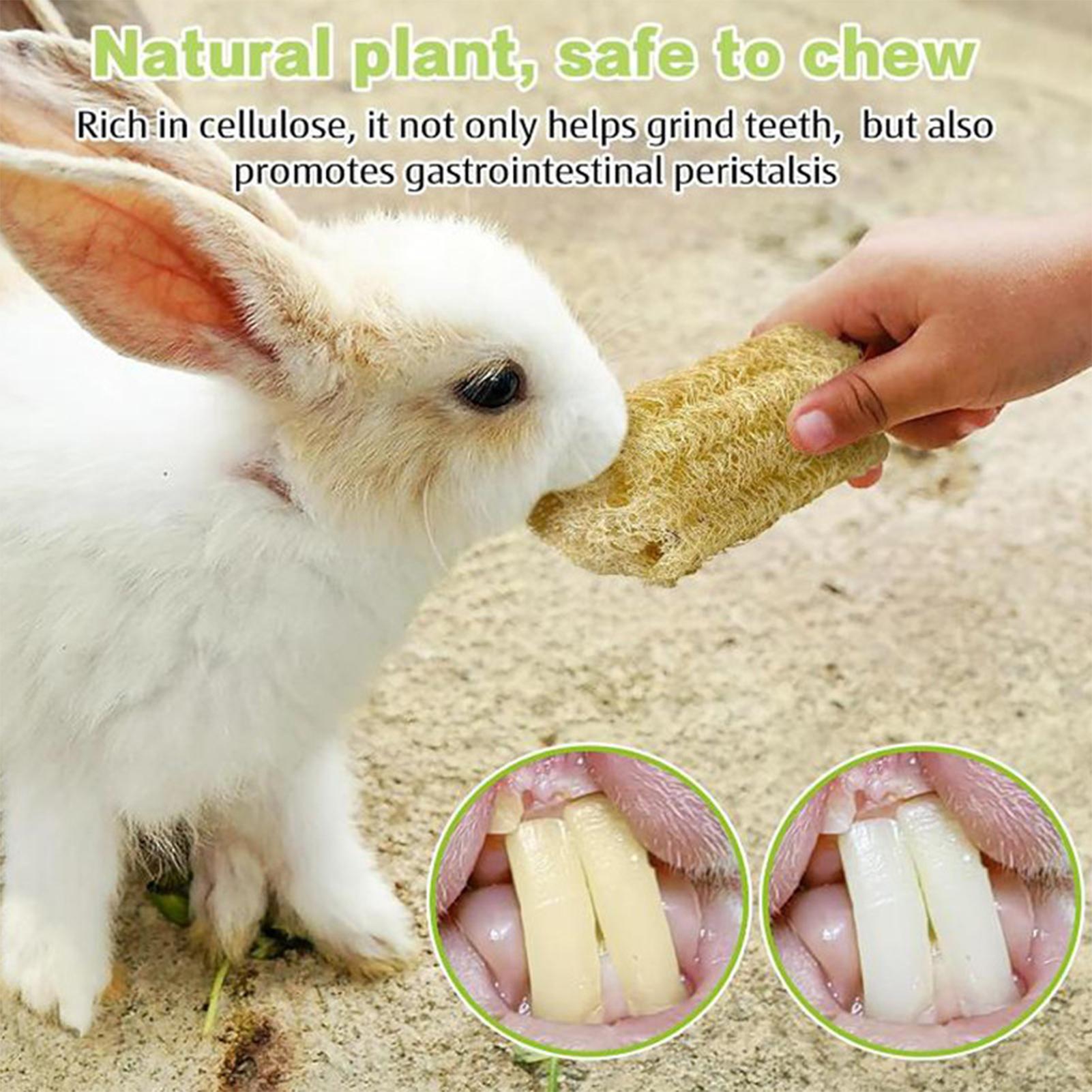 Chew Toys For Bunnies 4 Pieces - Pet Supplies Pet Shop review and price